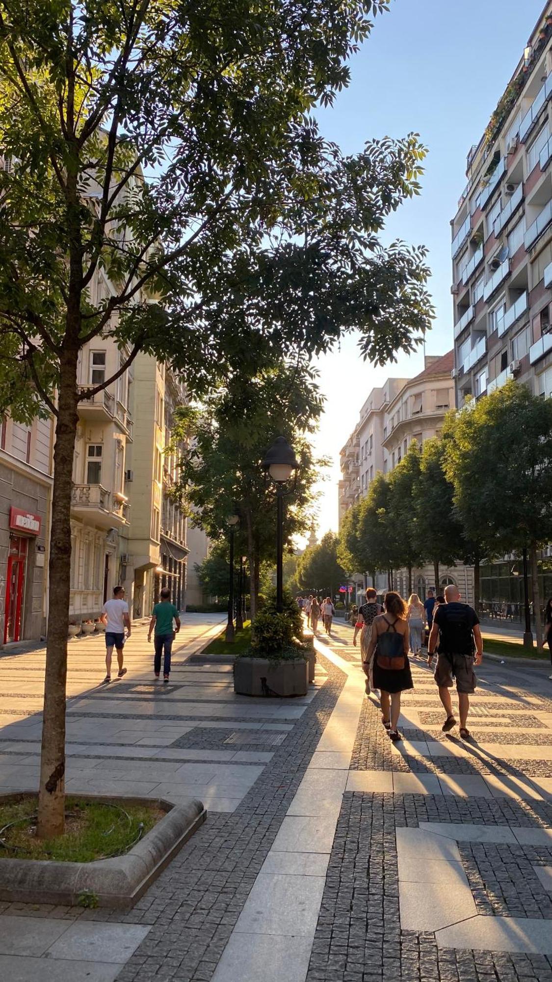Dom Boutique Apartments - Old Town Belgrado Buitenkant foto