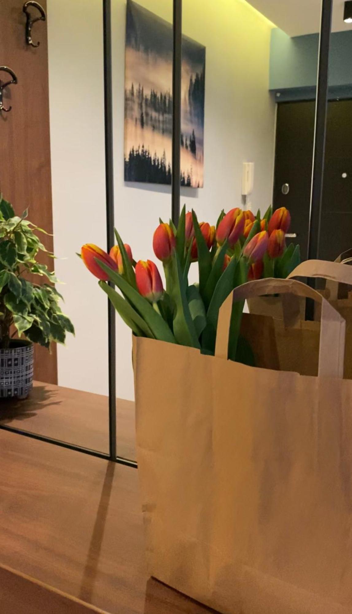 Dom Boutique Apartments - Old Town Belgrado Buitenkant foto